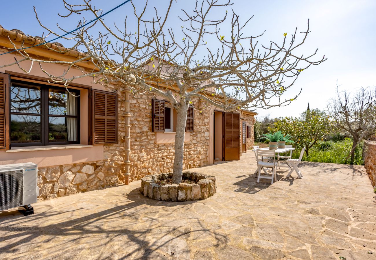 Finca en Santanyi - Sa Bassa Llova by dracmallorca