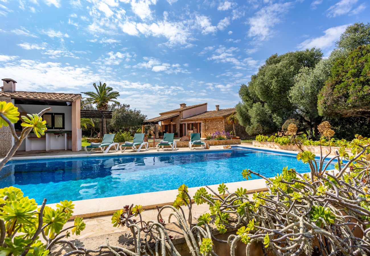 Finca en Santanyi - Sa Bassa Llova by dracmallorca