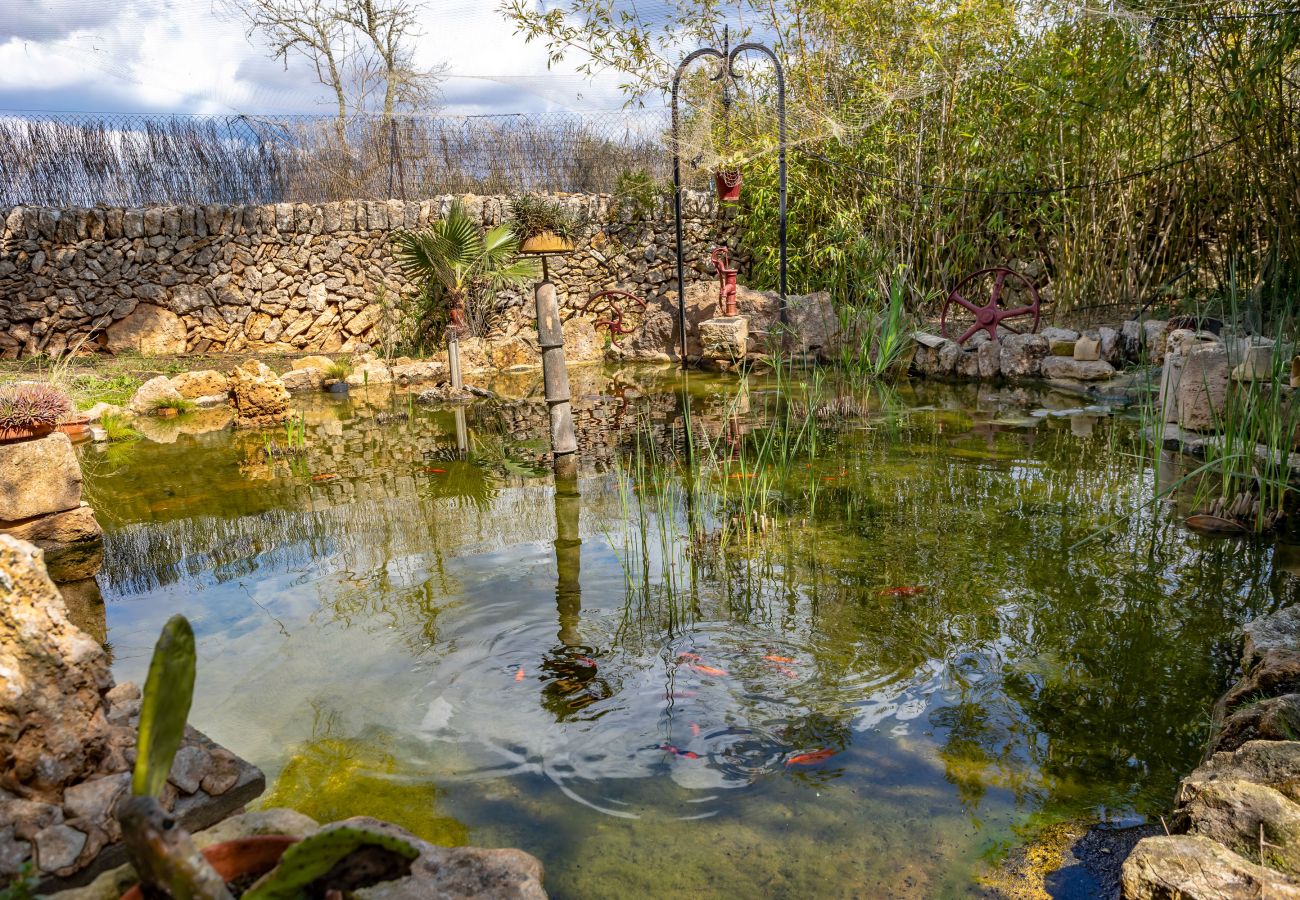 Finca en Santanyi - Sa Bassa Llova by dracmallorca