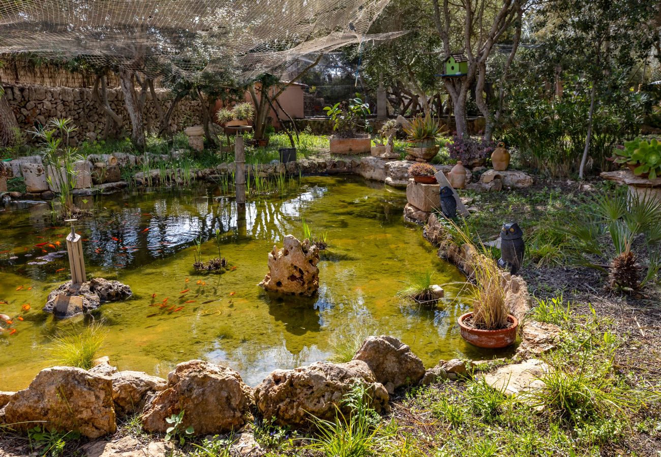 Finca en Santanyi - Sa Bassa Llova by dracmallorca
