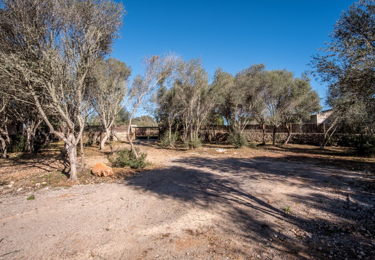 Casa rural en Santanyi - Finca Son Sec 2 Bedrooms