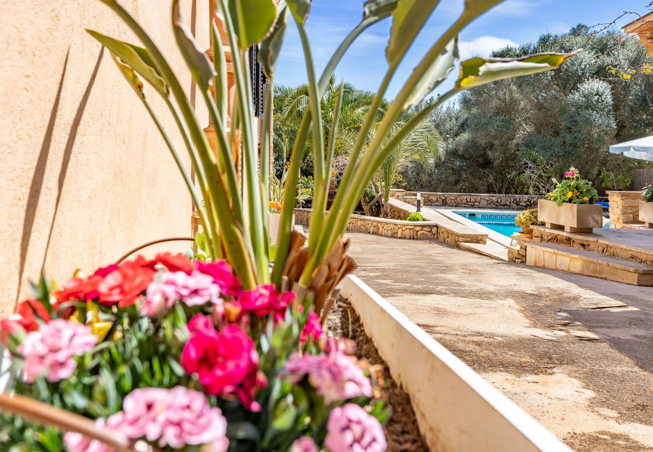 Casa rural en Santanyi - Finca Son Sec 2 Bedrooms