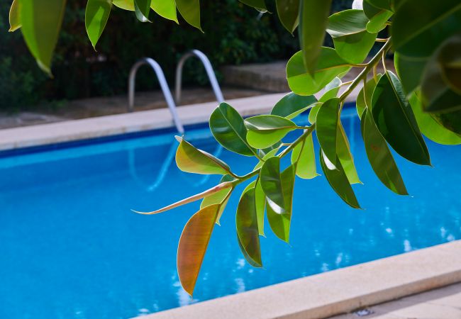 Casa en Porto Petro - Villa Punta des Port 13 by dracmallorca Casa en Porto Petro - Villa Punta des Port 13 by dracmallorca