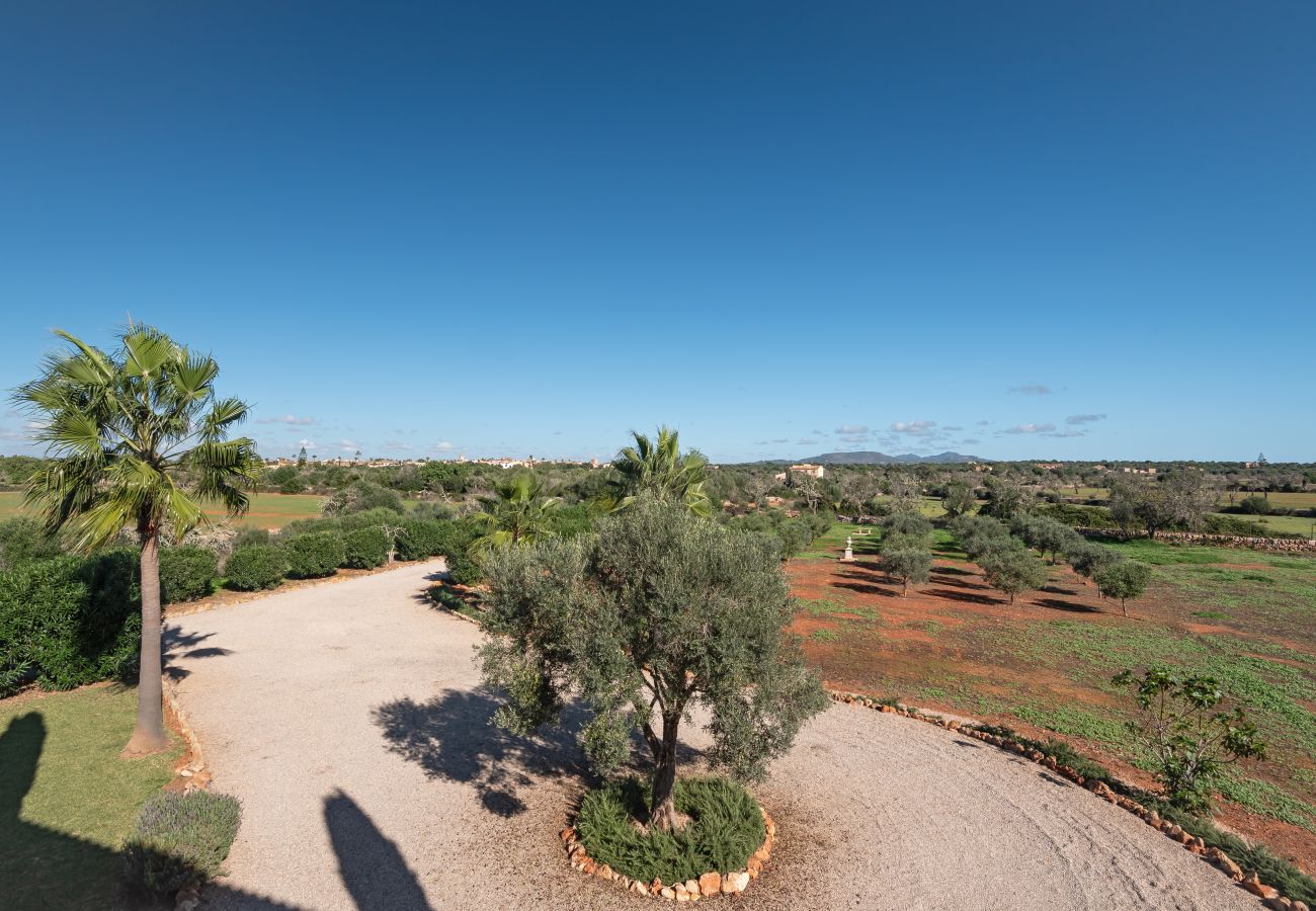 Finca en Es Llombards - Oasis de Luz en Es Llombards: Piscina, A/C y Horno Pizza (10p)