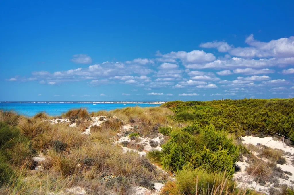 parque natural de es trenc