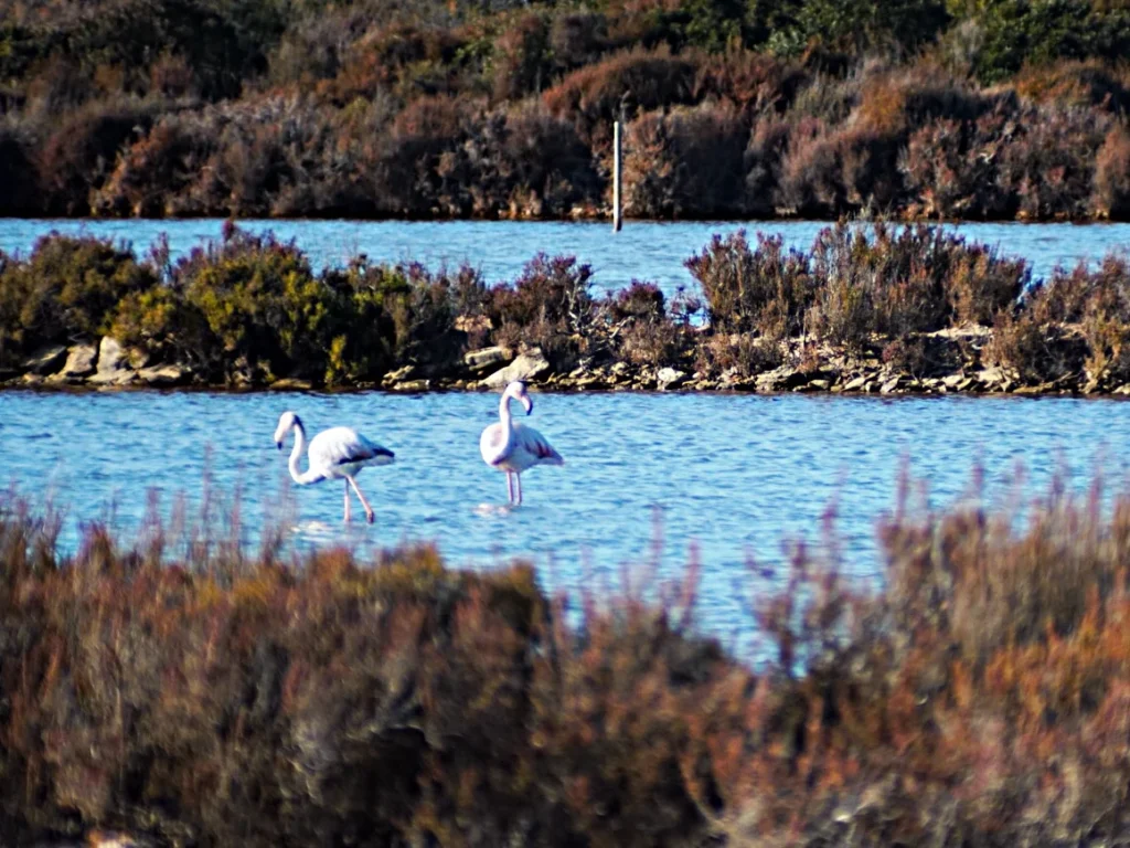 parque-natural-es-trenc-mallorca