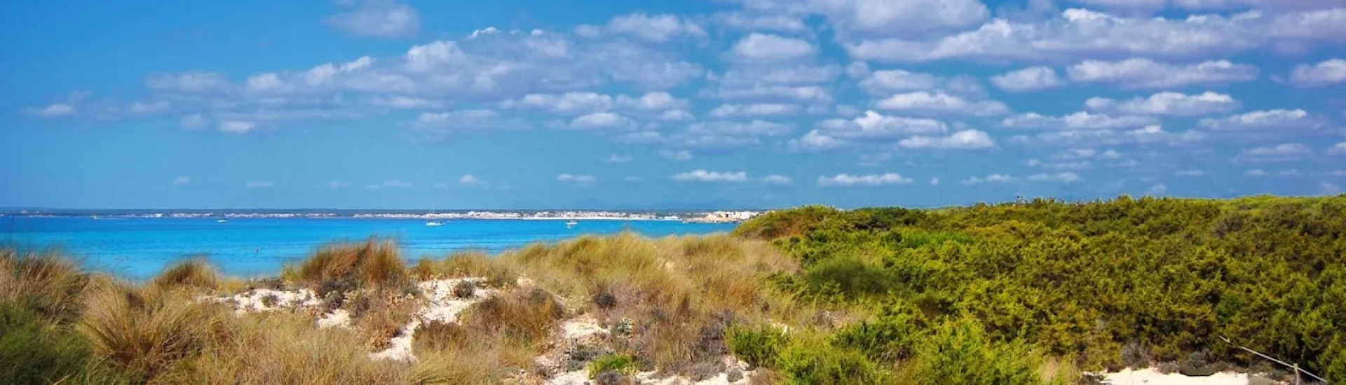 parque natural de es trenc