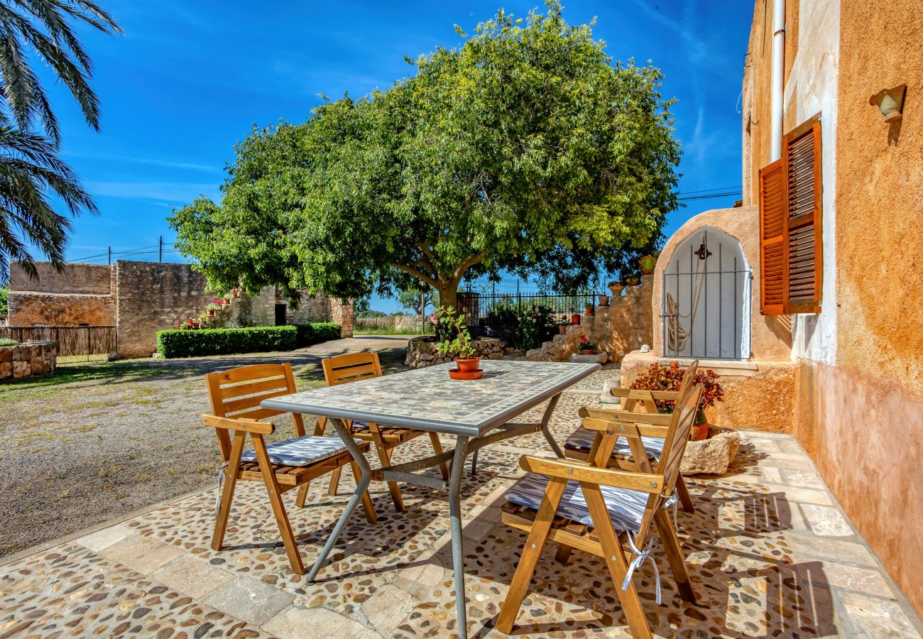 Finca en Calonge - Na Corme Nova by dracmallorca