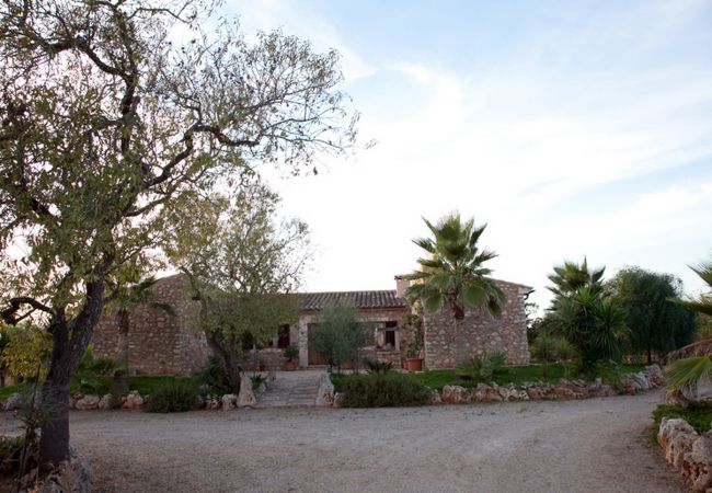 Finca en Campos - Son Barbudet by dracmallorca Finca en Campos - Son Barbudet by dracmallorca