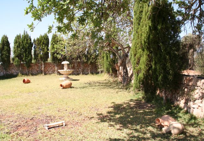 Finca en Santanyi - La Casita by dracmallorca Finca en Santanyi - La Casita by dracmallorca