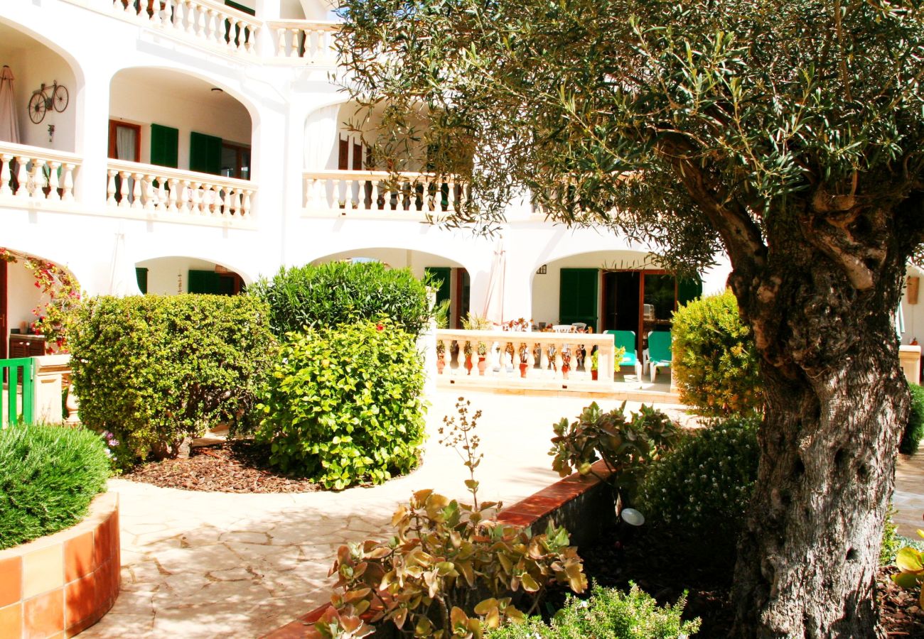 Apartament en Cala Santanyi - La Ardilla by dracmallorca