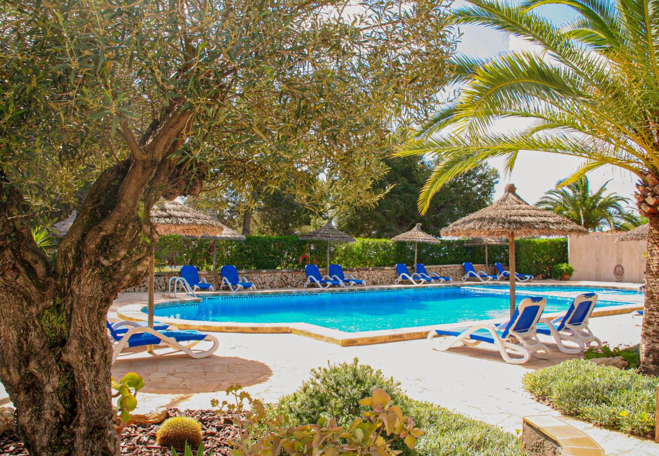 Apartament en Cala Santanyi - La Ardilla by dracmallorca