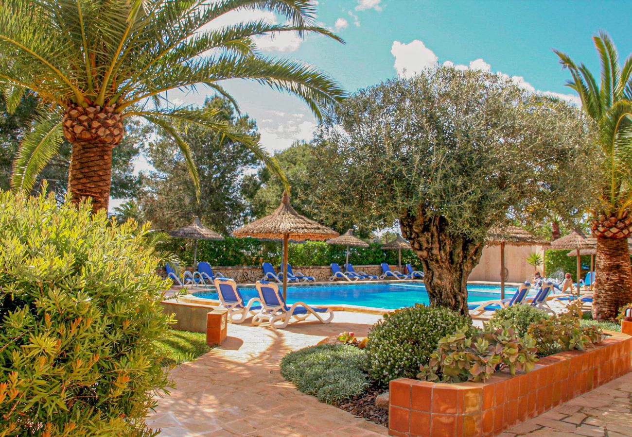 Apartament en Cala Santanyi - La Ardilla by dracmallorca