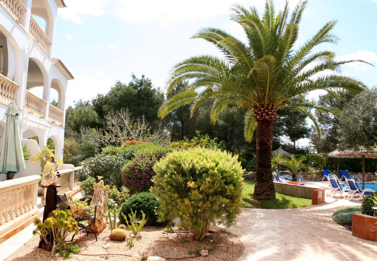 Apartament en Cala Santanyi - La Ardilla by dracmallorca