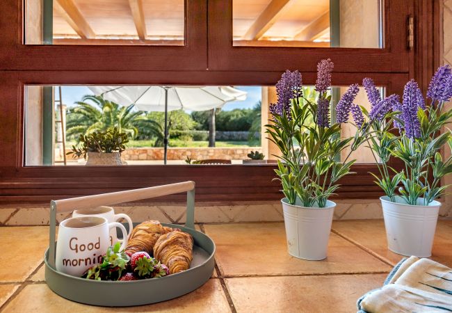 Finca in Santanyi - Son Garrot by dracmallorca Finca in Santanyi - Son Garrot by dracmallorca