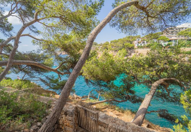 Ferienhaus in Cala Santanyi - Casa Clar 2 by dracmallorca Ferienhaus in Cala Santanyi - Casa Clar 2 by dracmallorca