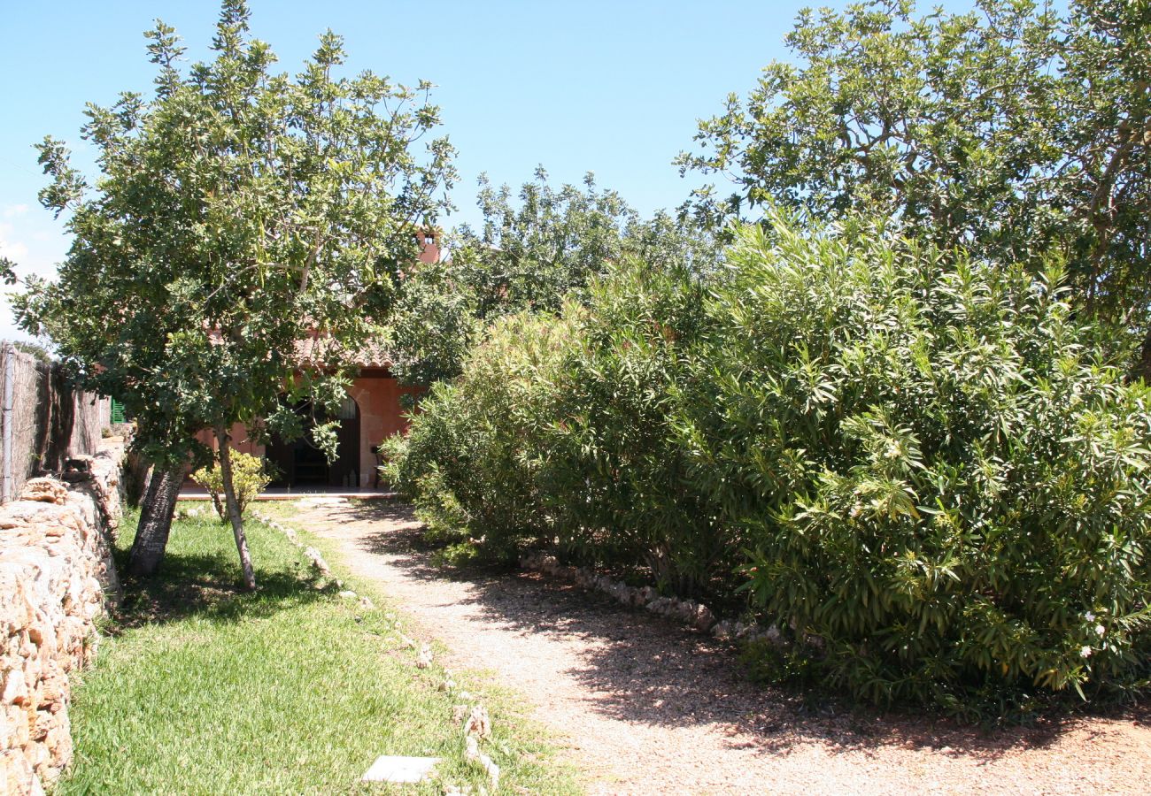 Landhaus in Porto Petro - Casa Ventura