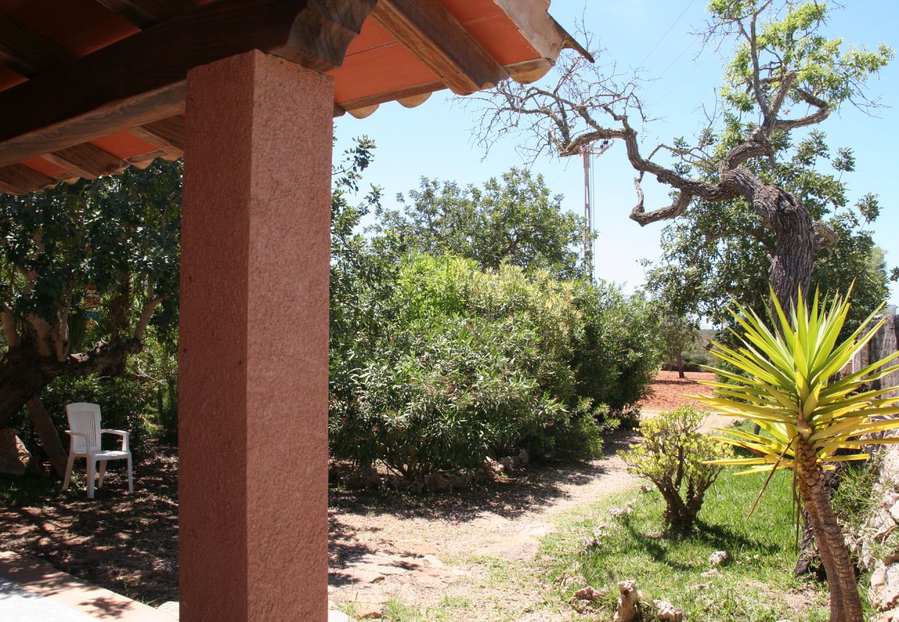 Landhaus in Porto Petro - Casa Ventura