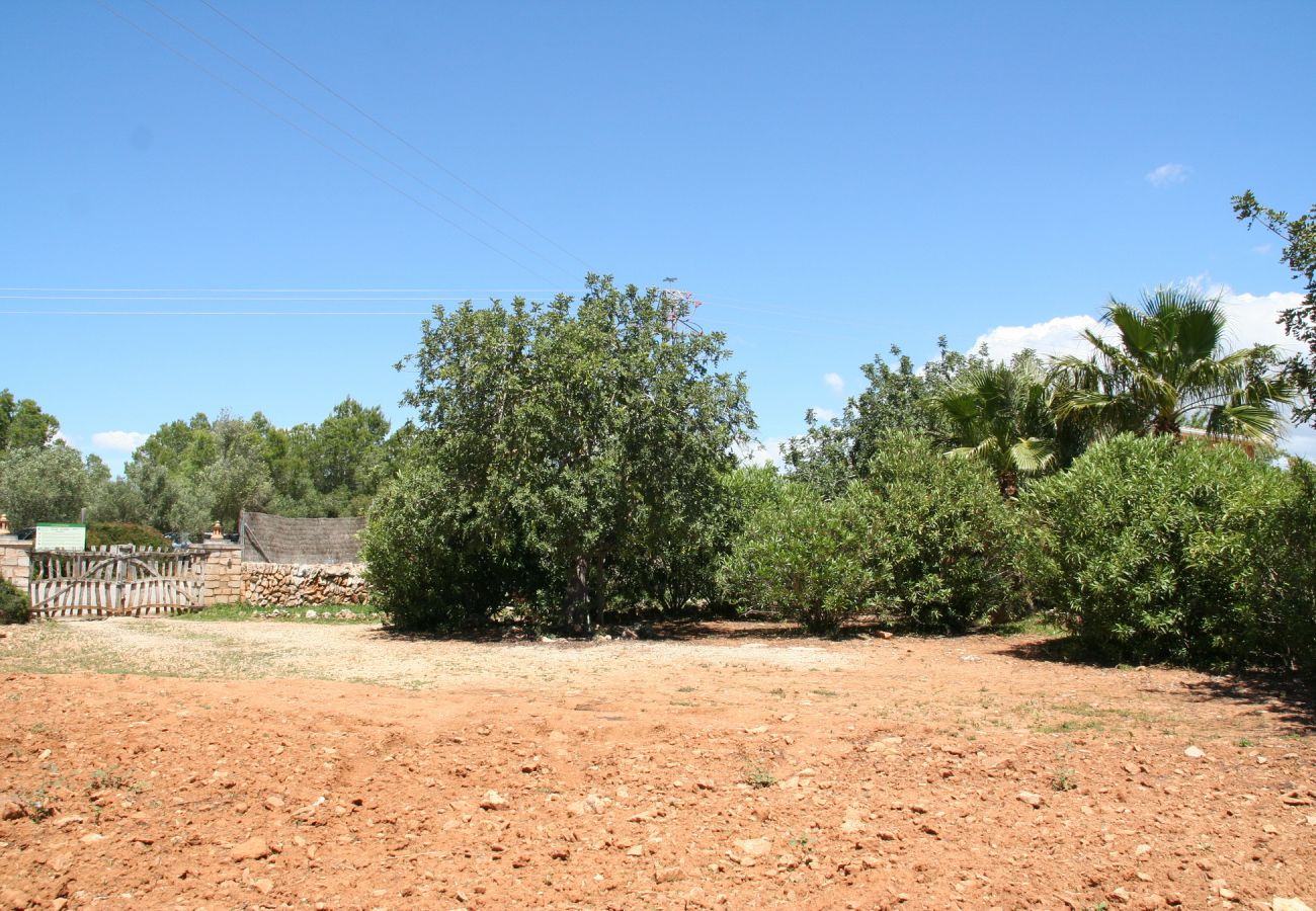 Landhaus in Porto Petro - Casa Ventura