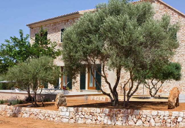 Finca in Ses Salines - Sa Pleta Nova by dracmallorca Finca in Ses Salines - Sa Pleta Nova by dracmallorca
