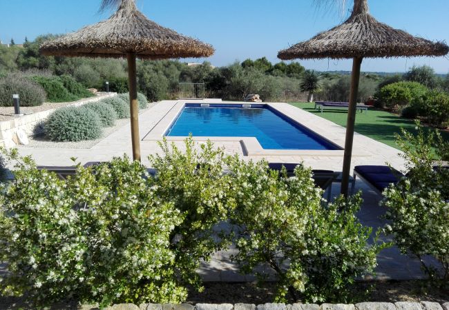 Finca in Ses Salines - Sa Pleta Nova by dracmallorca Finca in Ses Salines - Sa Pleta Nova by dracmallorca