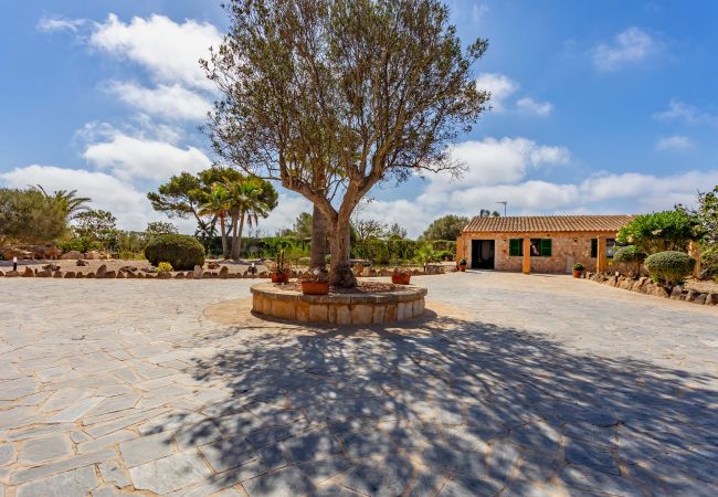Finca in Cala Figuera - Can Talaia by dracmallorca Finca in Cala Figuera - Can Talaia by dracmallorca