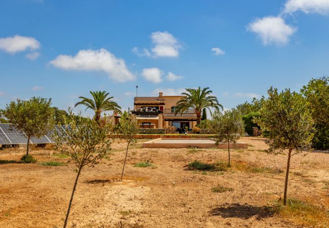 Finca in Cala Figuera - Can Talaia by dracmallorca Finca in Cala Figuera - Can Talaia by dracmallorca