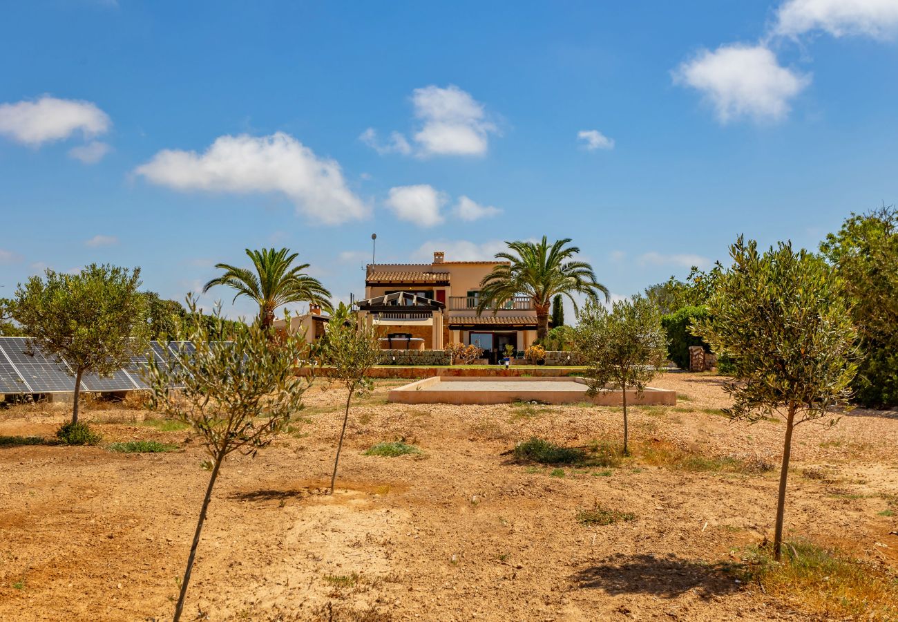 Finca in Cala Figuera - Can Talaia by dracmallorca