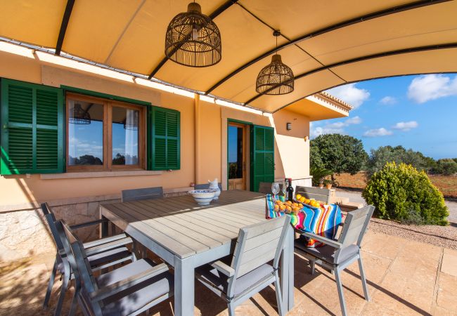 Finca in Ses Salines - Finca Hort de Can Rafelet Finca in Ses Salines - Finca Hort de Can Rafelet