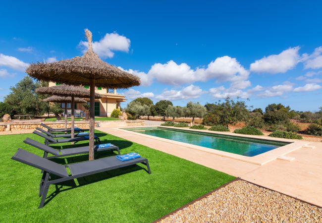 Finca in Ses Salines - Finca Hort de Can Rafelet Finca in Ses Salines - Finca Hort de Can Rafelet