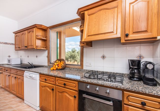 Finca in Ses Salines - Finca Hort de Can Rafelet Finca in Ses Salines - Finca Hort de Can Rafelet