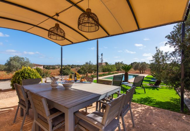 Finca in Ses Salines - Finca Hort de Can Rafelet Finca in Ses Salines - Finca Hort de Can Rafelet