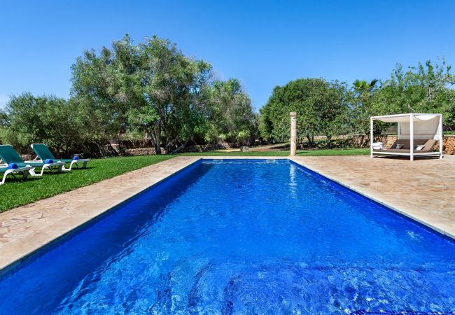 Country house in Santanyi - Bassa Seca by dracmallorca Country house in Santanyi - Bassa Seca by dracmallorca