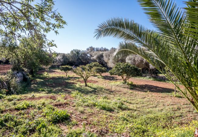 Country house in Santanyi - Son Sec by dracmallorca