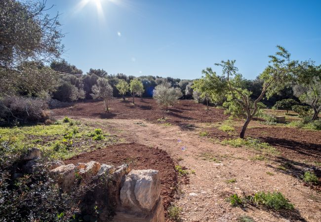 Country house in Santanyi - Son Sec by dracmallorca