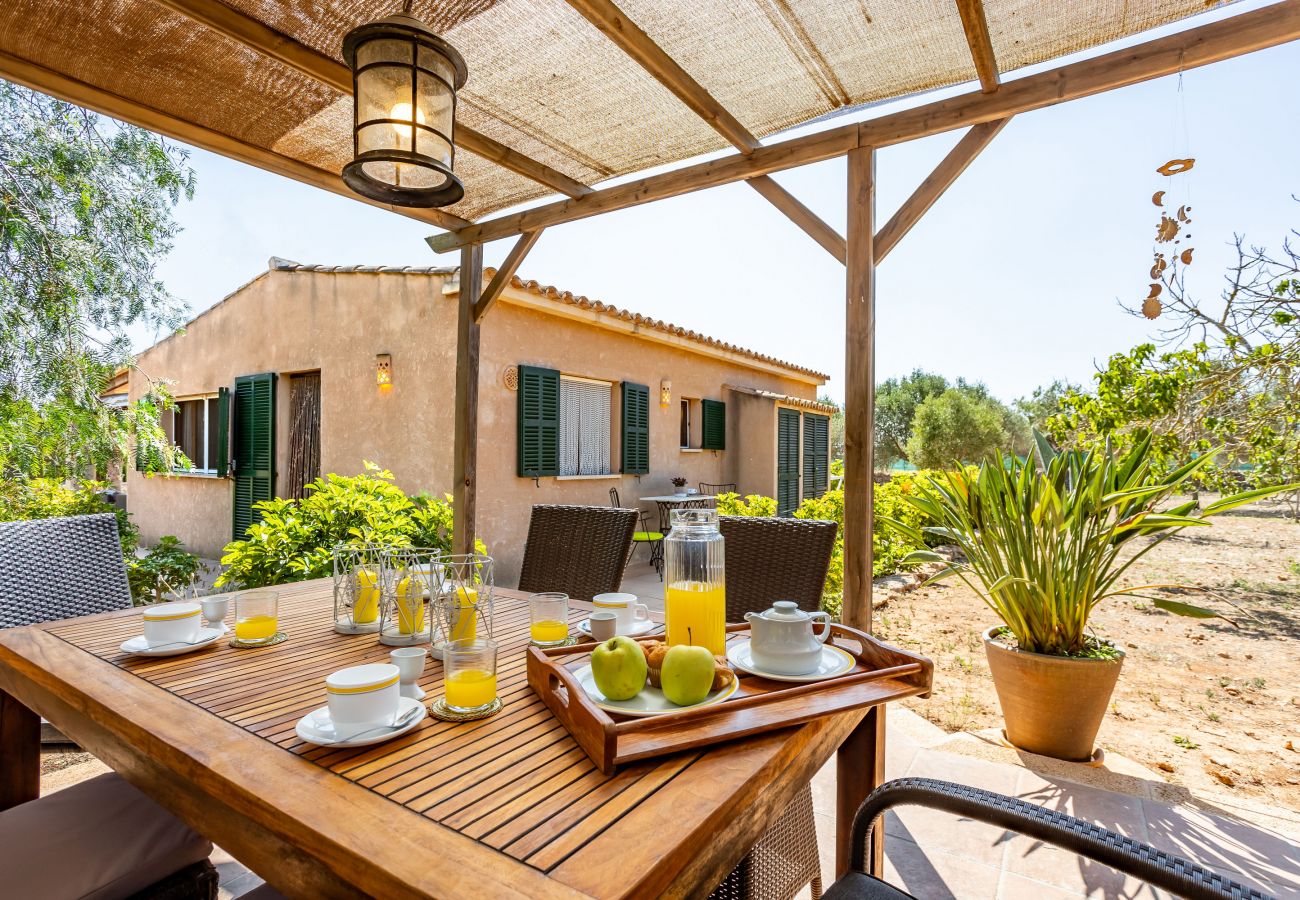 Country house in Cala Santanyi - Chalet Turo