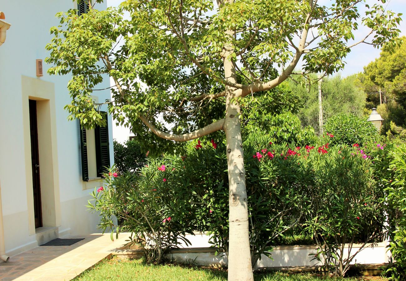 House in Santanyi - Can Sivinar by dracmallorca