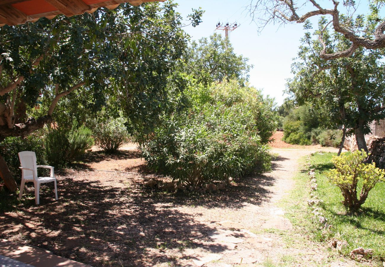 Cottage in Porto Petro - Casa Ventura