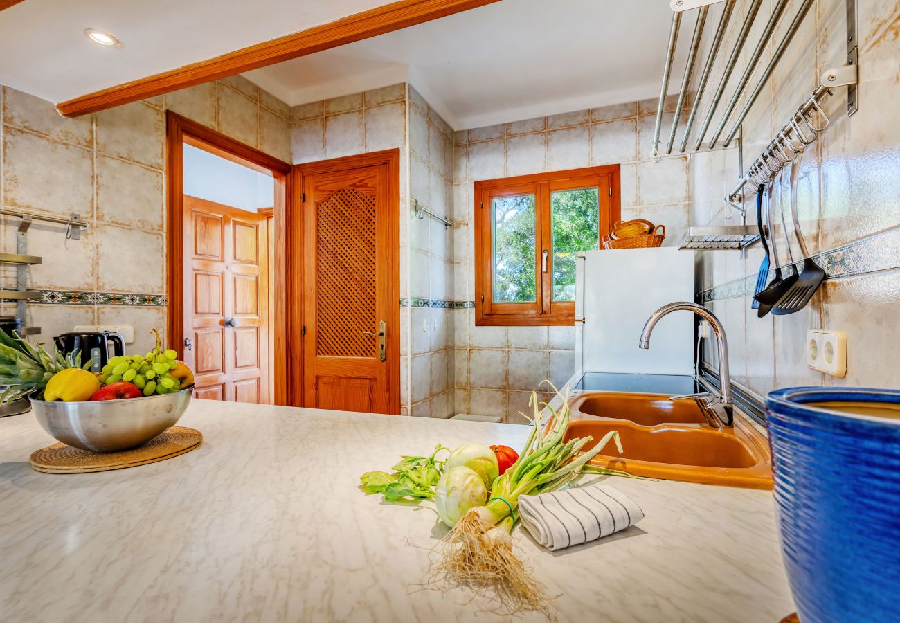 Apartment in Cala Santanyi - La Ardilla by dracmallorca