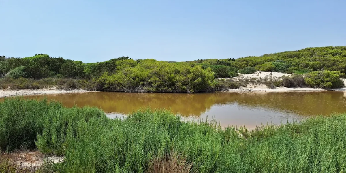 parque-natural-es-trenc